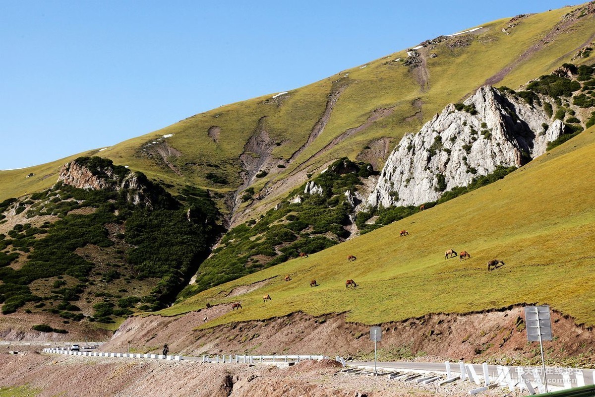 西行漫记 47  伊昭公路