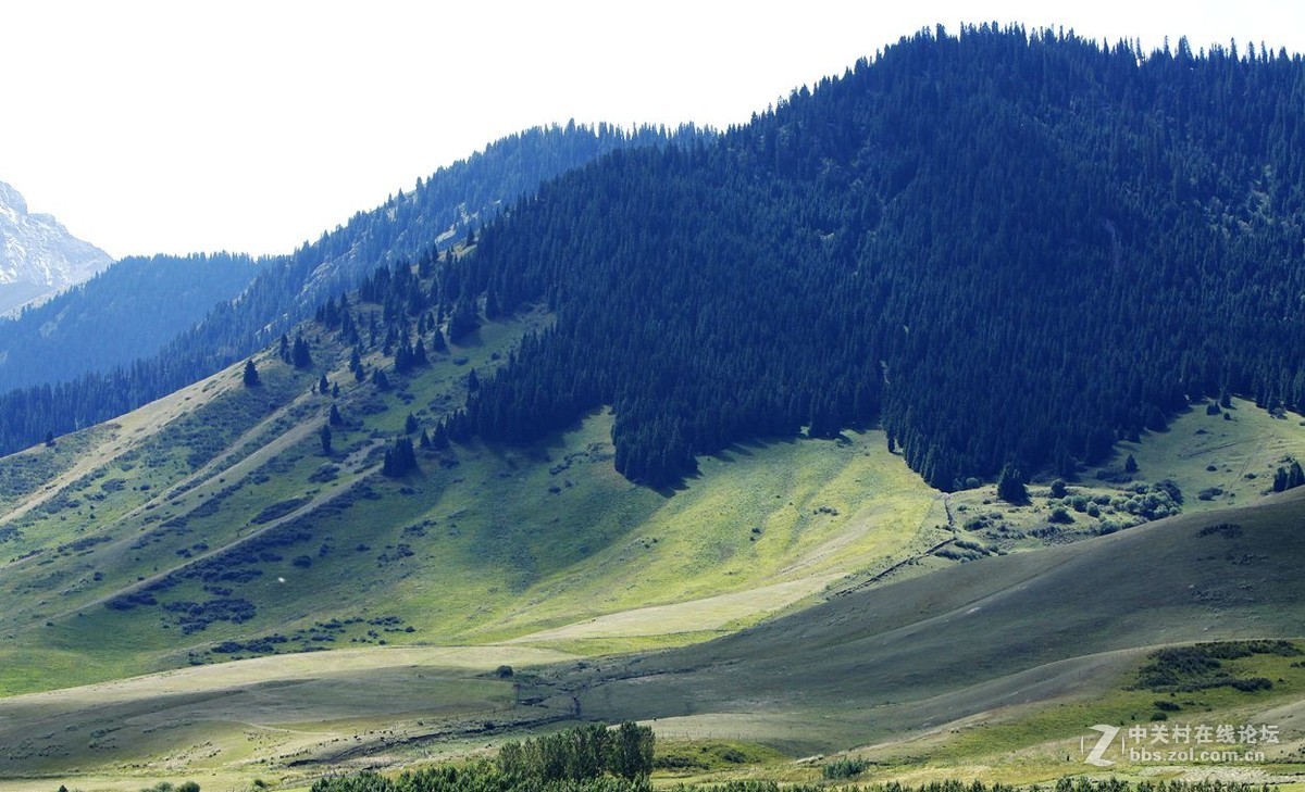 西行漫记 47  伊昭公路