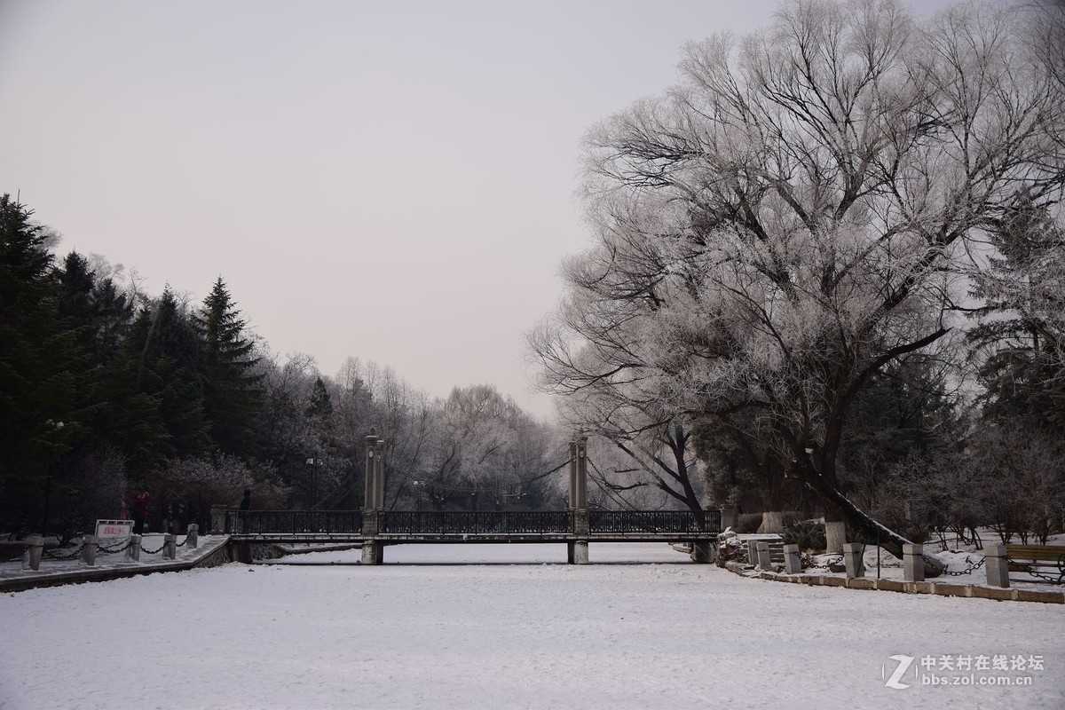 冬至了，来几张属于冬天的小景色！