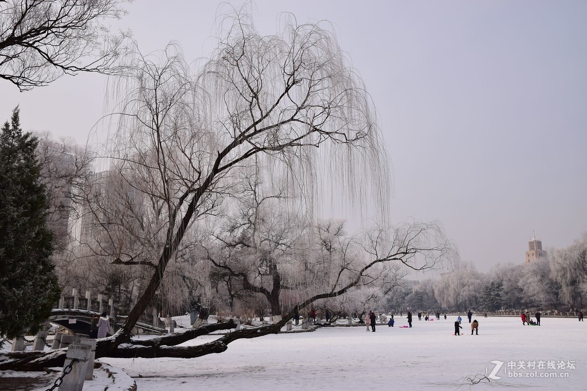 冬至了，来几张属于冬天的小景色！