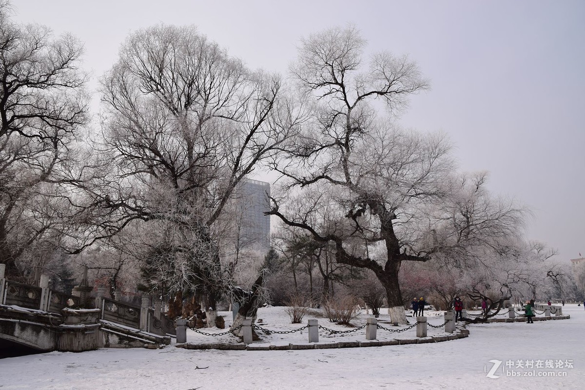 冬至了，来几张属于冬天的小景色！