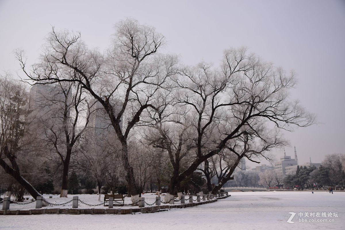 冬至了，来几张属于冬天的小景色！