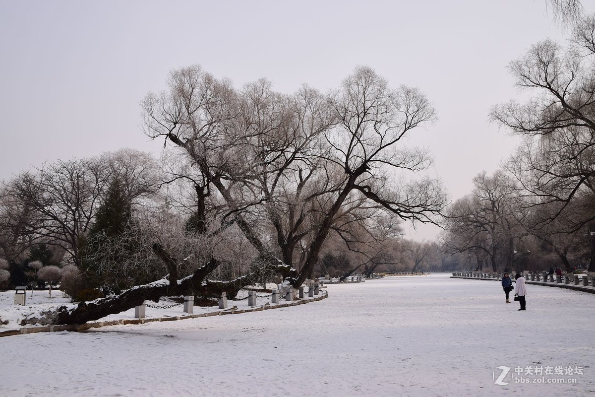 冬至了，来几张属于冬天的小景色！