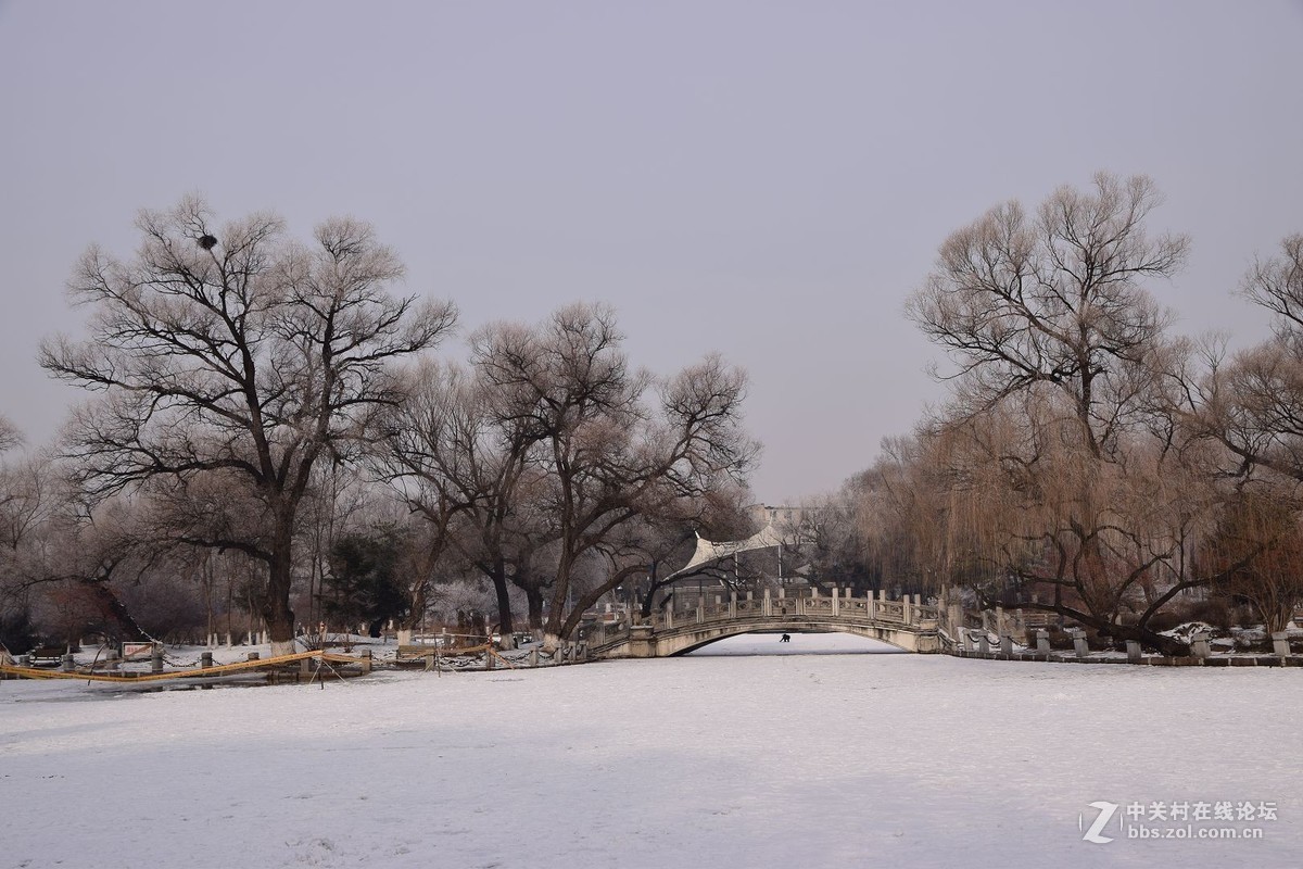 冬至了，来几张属于冬天的小景色！