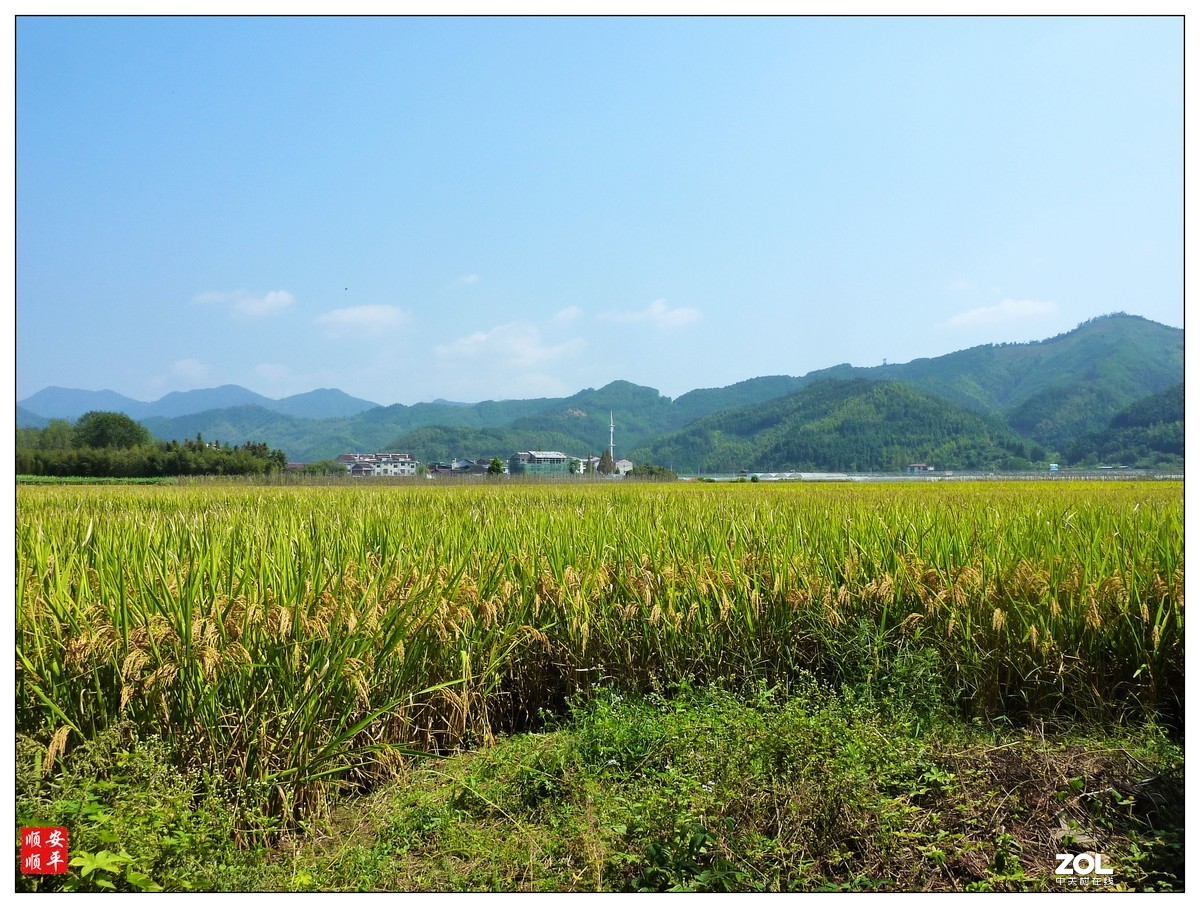 #ZOL月赛晒秋#福建闽北乡村的一道风景