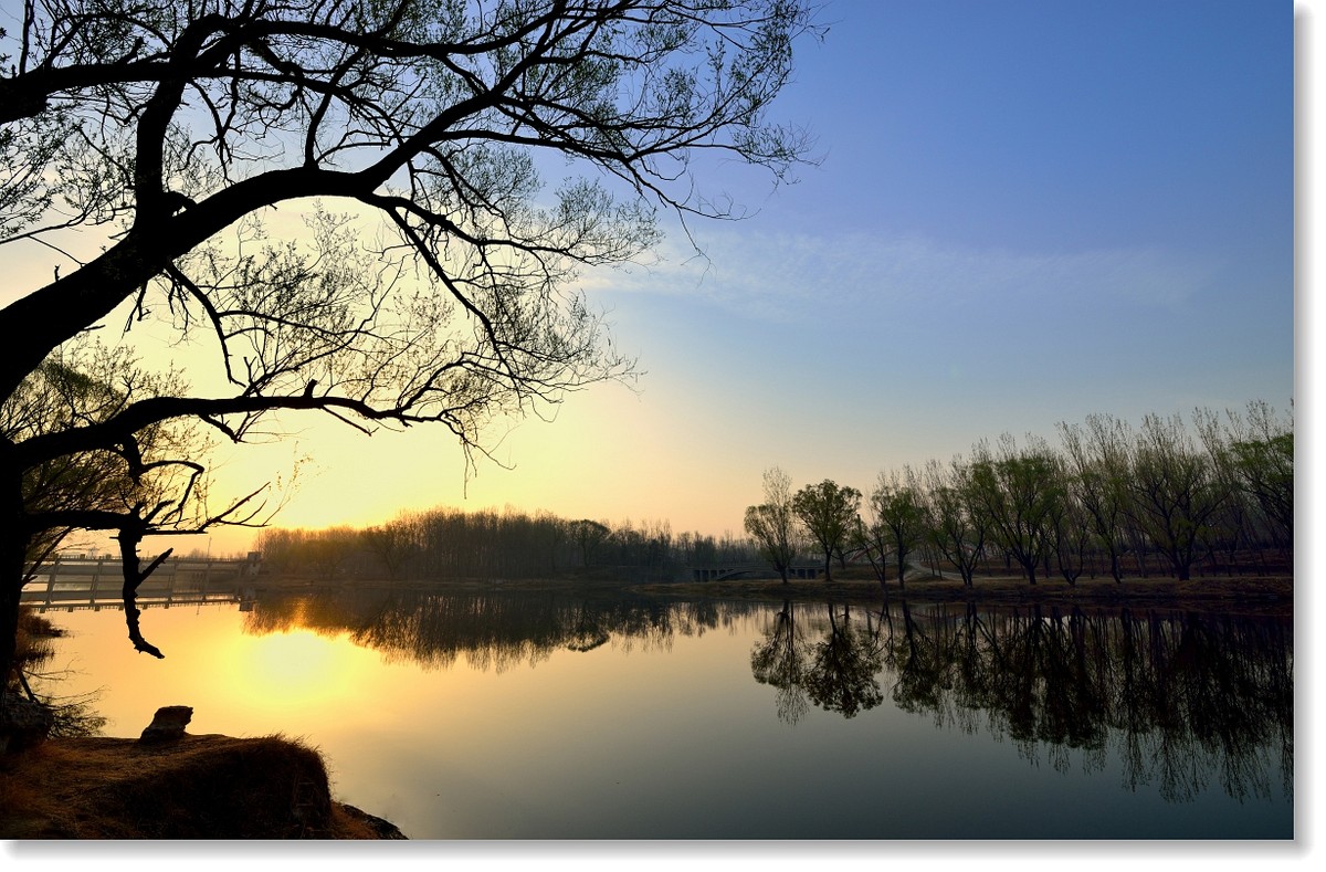 骑射--初春的早晨