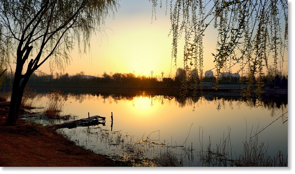 骑射--初春的早晨