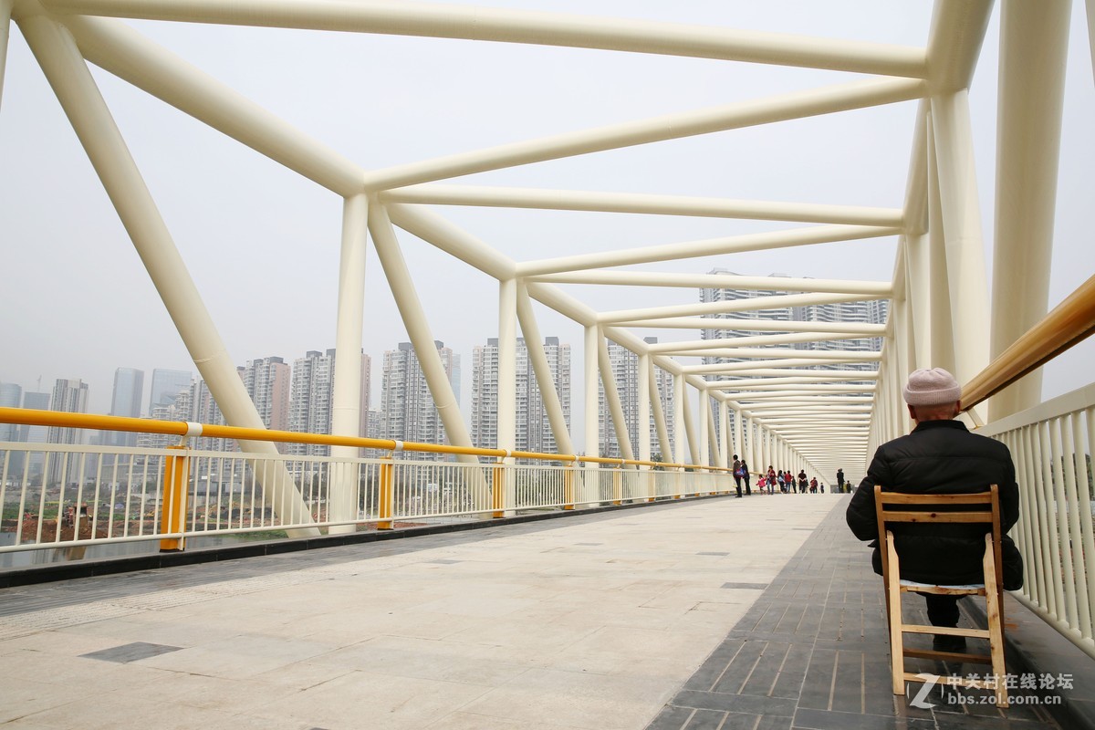 红树湾人行景观桥