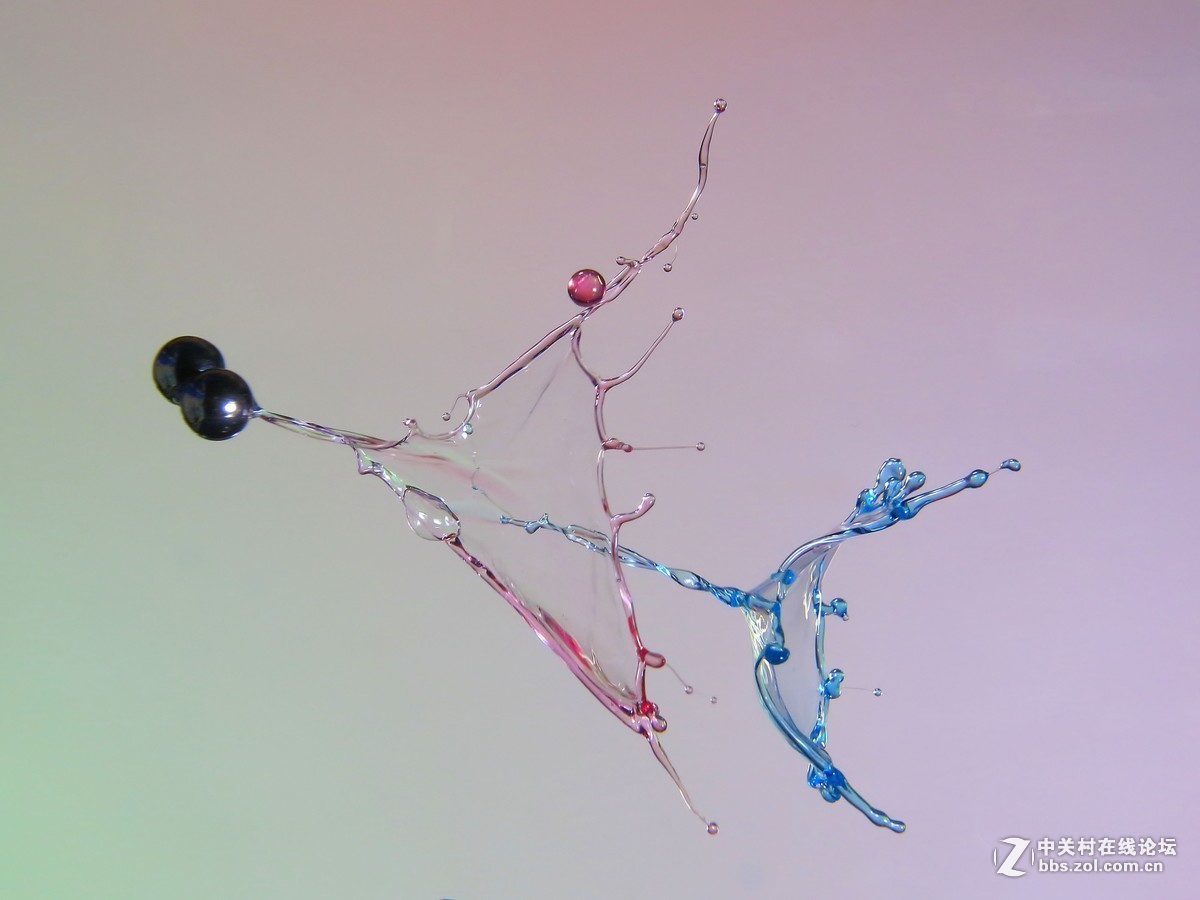 #版主坐堂# 2017年11月微距摄影星空(中国)精华集萃