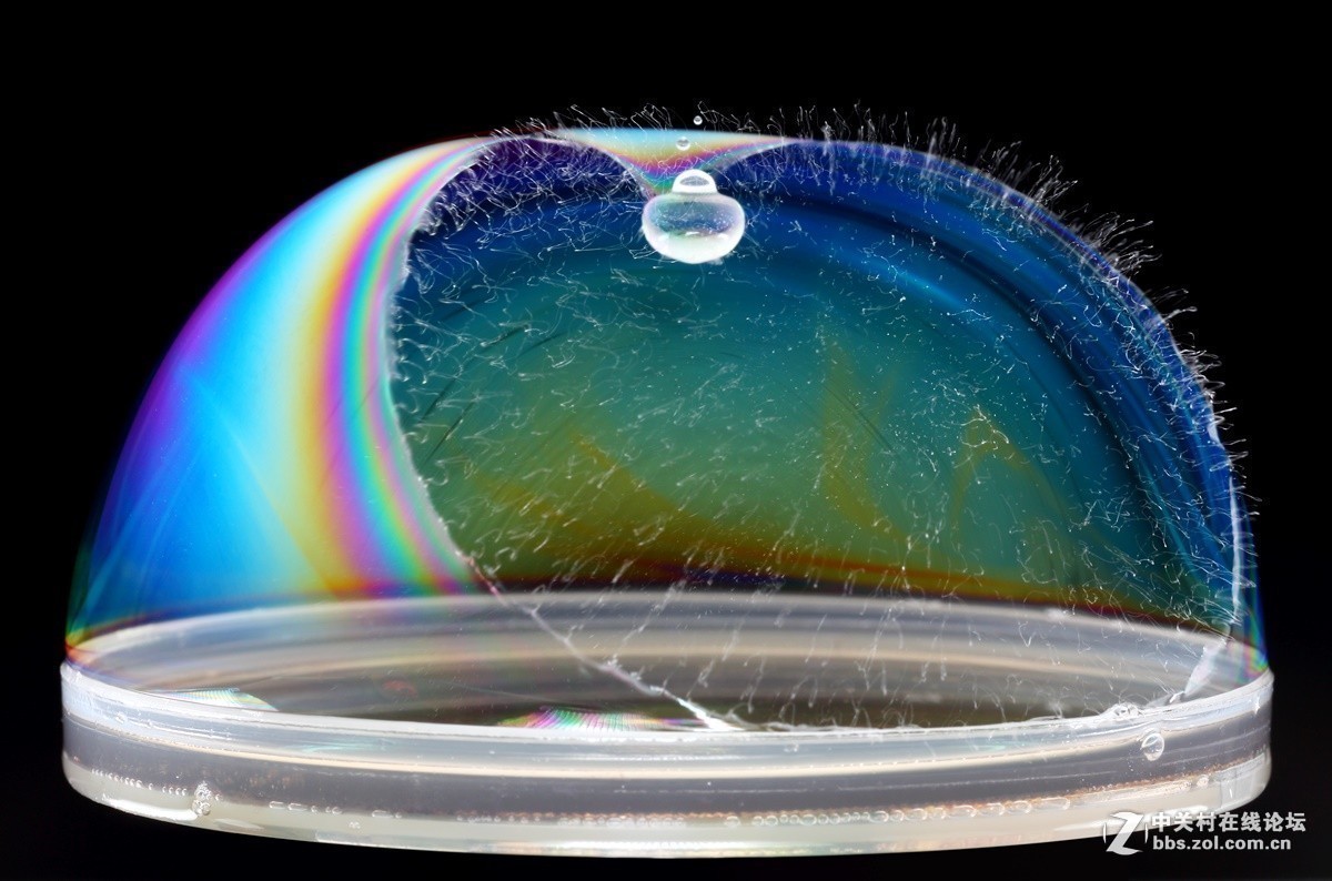 #版主坐堂# 2017年11月微距摄影星空(中国)精华集萃