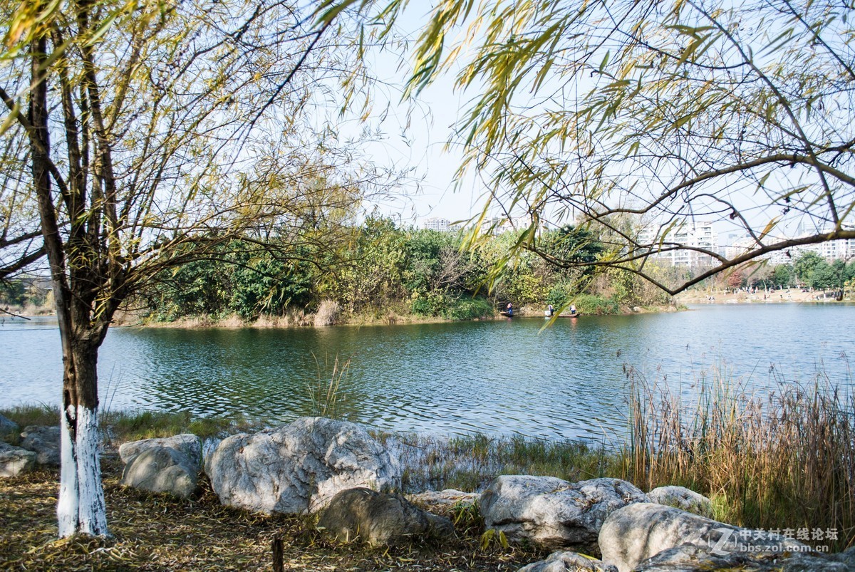 今天发现D80不能对焦了，重置后正常了，试机正常，失而复得大喜！！