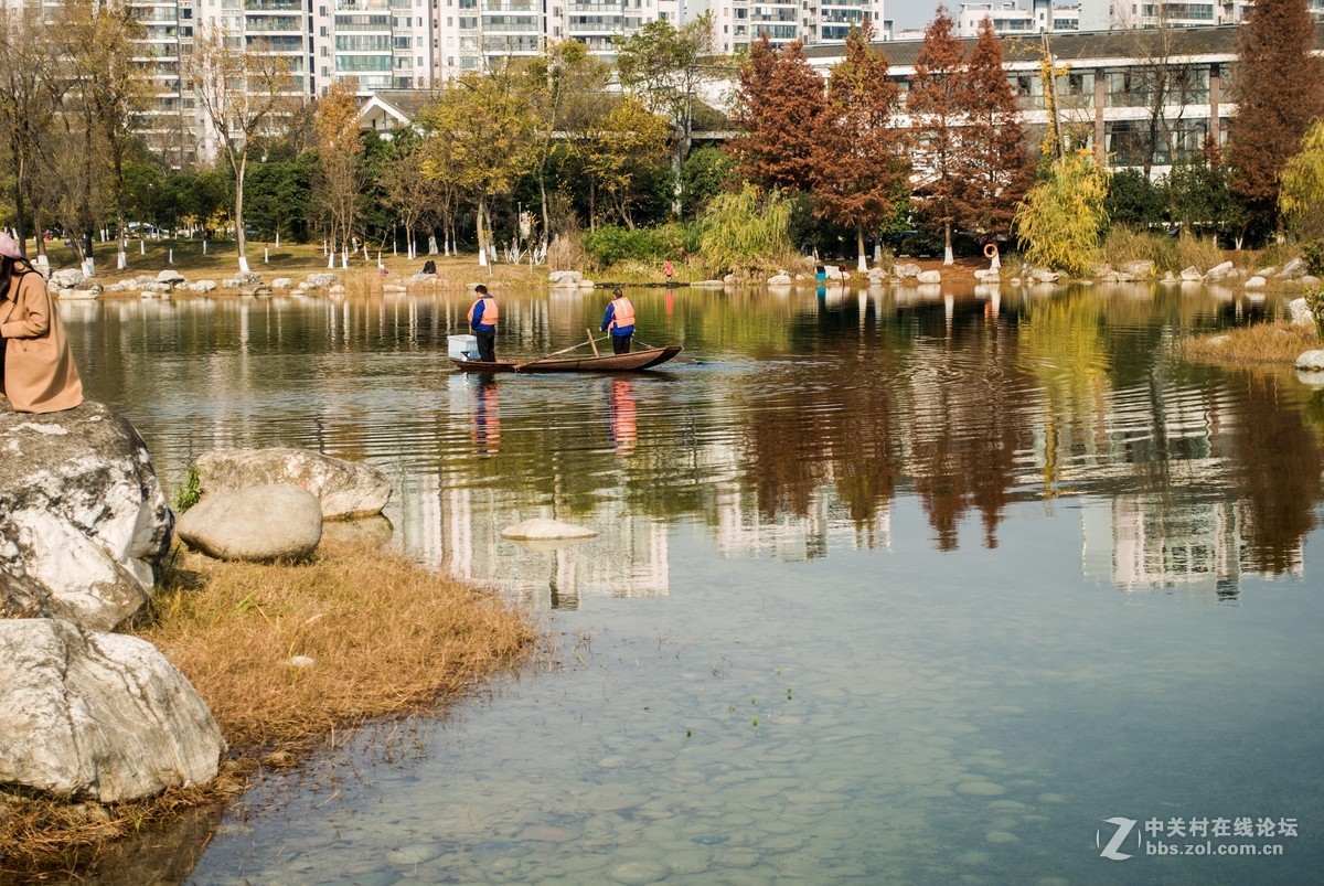 今天发现D80不能对焦了，重置后正常了，试机正常，失而复得大喜！！