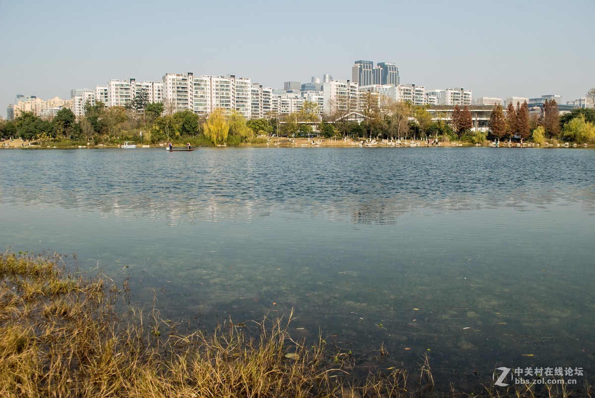 今天发现D80不能对焦了，重置后正常了，试机正常，失而复得大喜！！