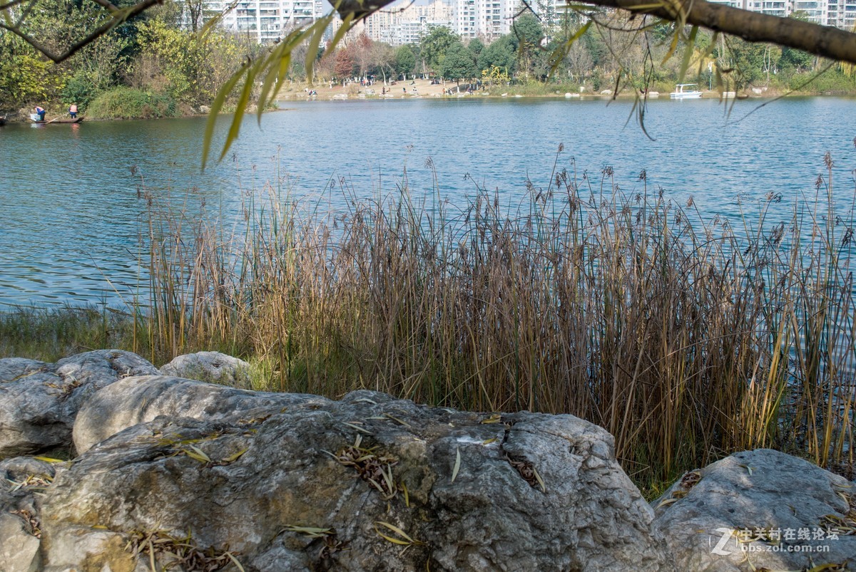 今天发现D80不能对焦了，重置后正常了，试机正常，失而复得大喜！！