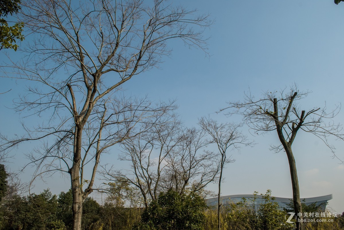 今天发现D80不能对焦了，重置后正常了，试机正常，失而复得大喜！！