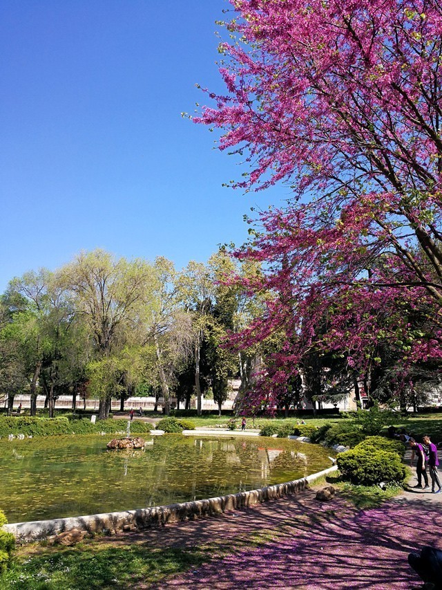 旅欧行摄---手机随拍【6】