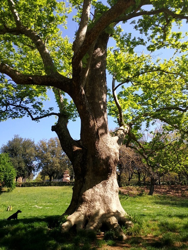 旅欧行摄---手机随拍【6】