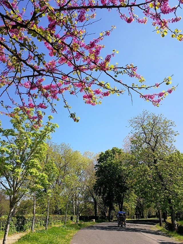 旅欧行摄---手机随拍【6】