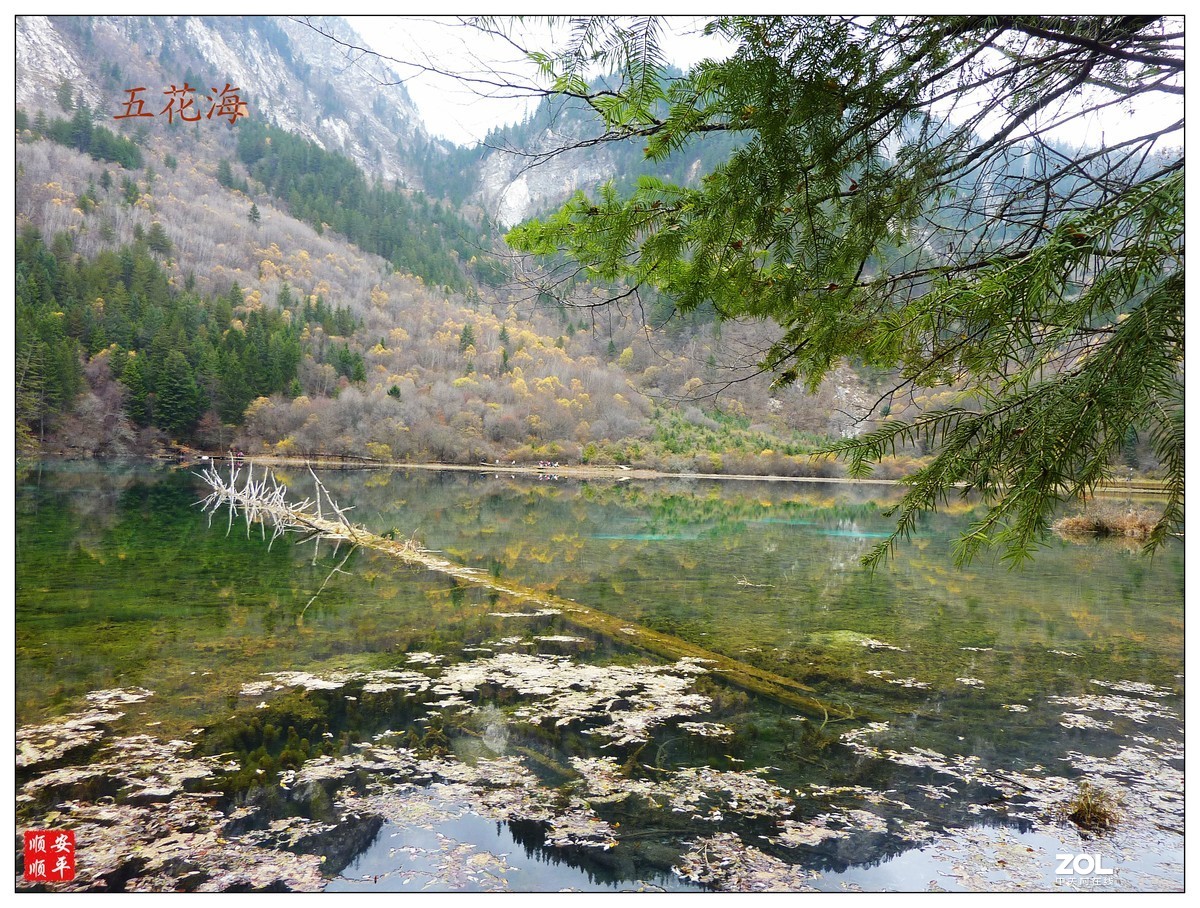 #ZOL月赛晒秋#晚秋九寨沟风景