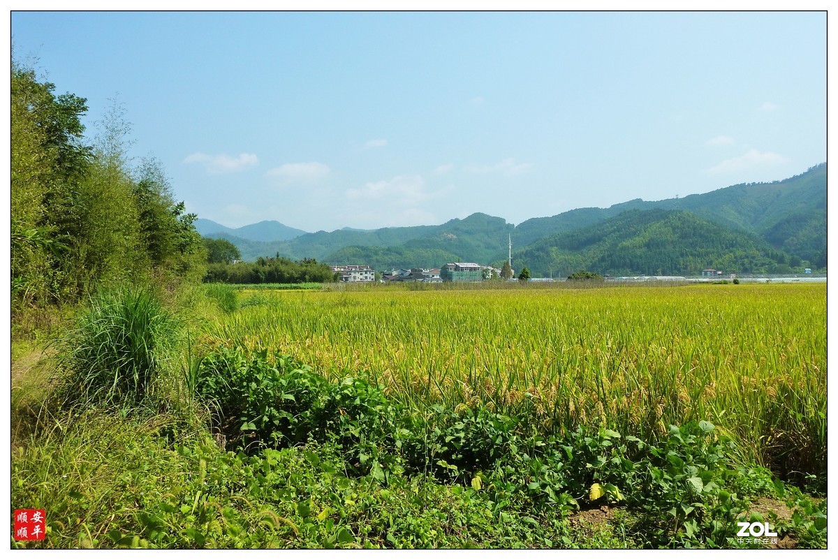 #ZOL月赛晒秋#福建闽北乡村的一道风景