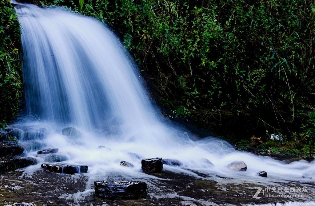 青州杨集风景小照