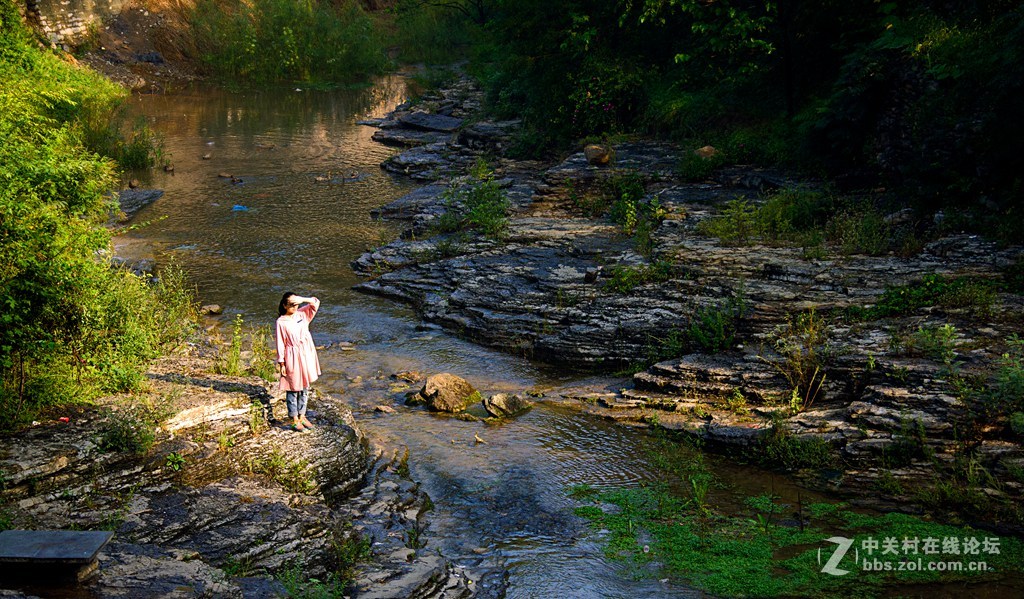青州杨集风景小照