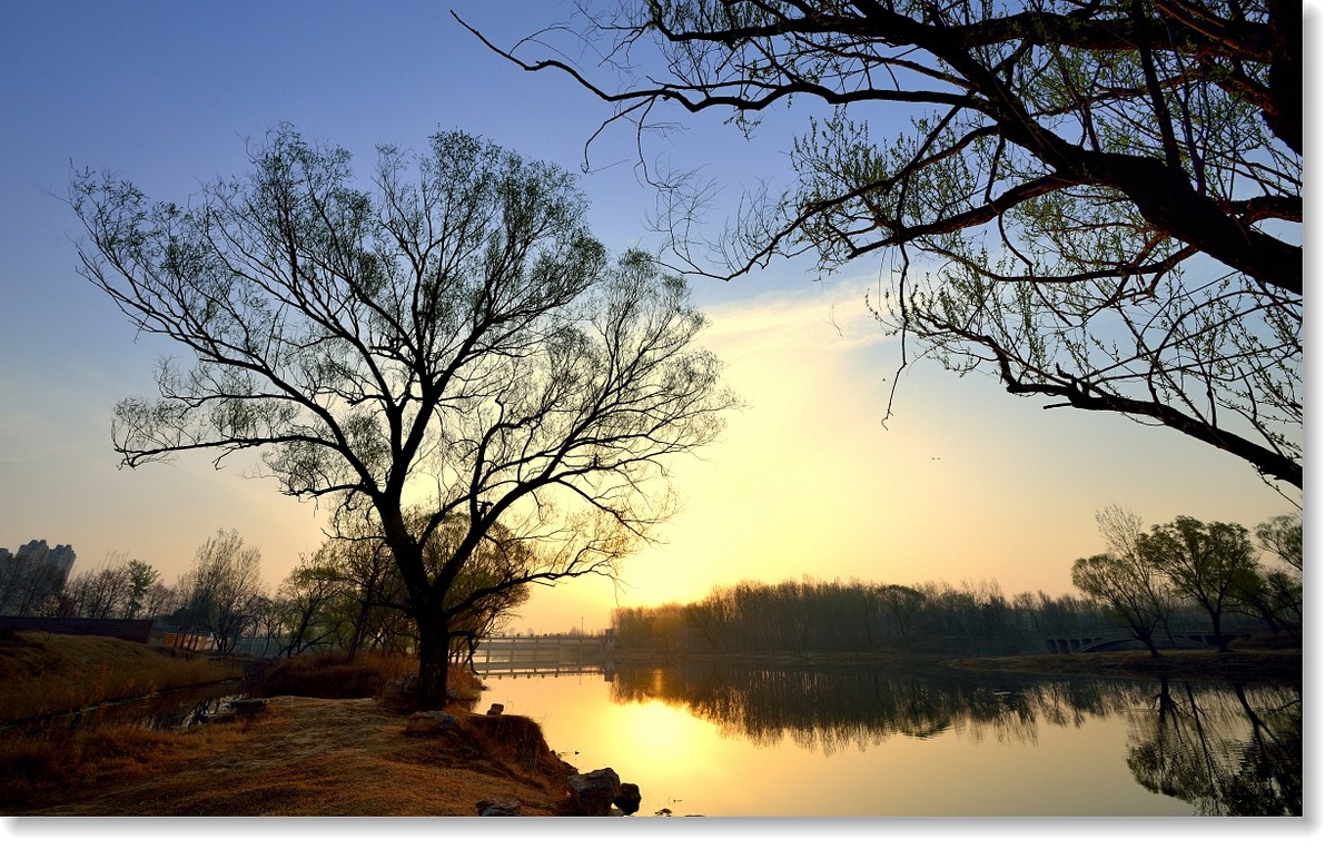 骑射--初春的早晨