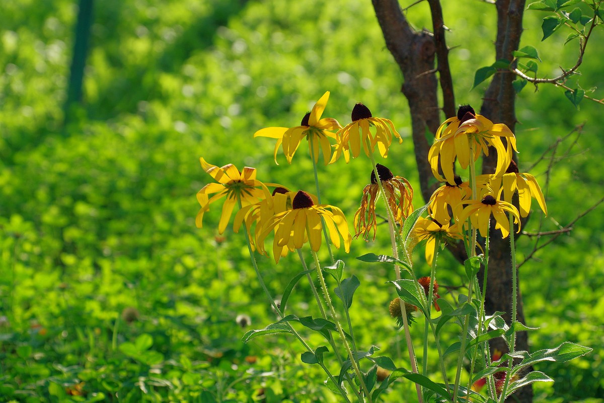 一花一世界，一草一枯荣（50 135第二次试拍）