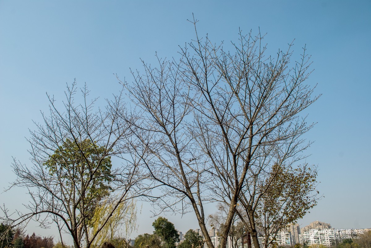 今天发现D80不能对焦了，重置后正常了，试机正常，失而复得大喜！！