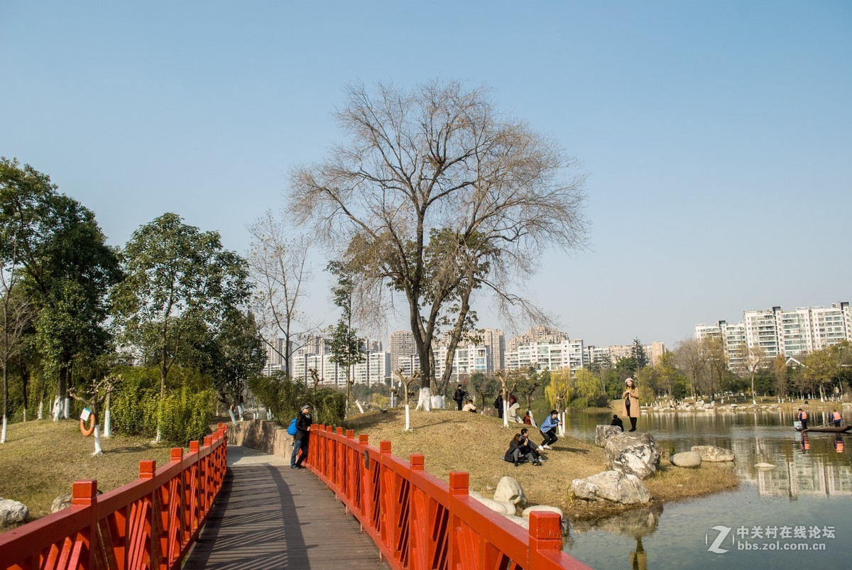 今天发现D80不能对焦了，重置后正常了，试机正常，失而复得大喜！！