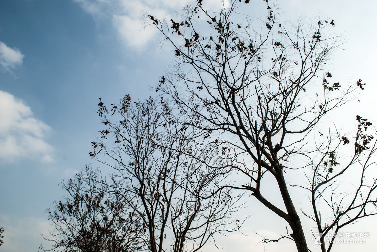 今天发现D80不能对焦了，重置后正常了，试机正常，失而复得大喜！！