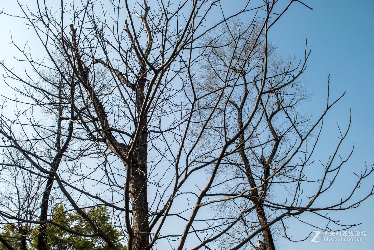 今天发现D80不能对焦了，重置后正常了，试机正常，失而复得大喜！！