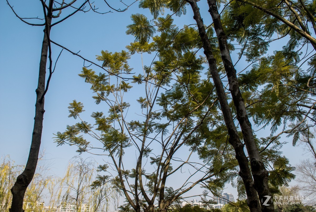 今天发现D80不能对焦了，重置后正常了，试机正常，失而复得大喜！！