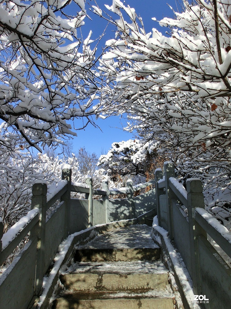 龙山雪景