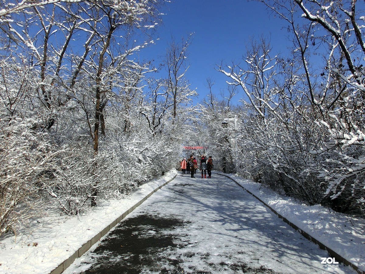 龙山雪景