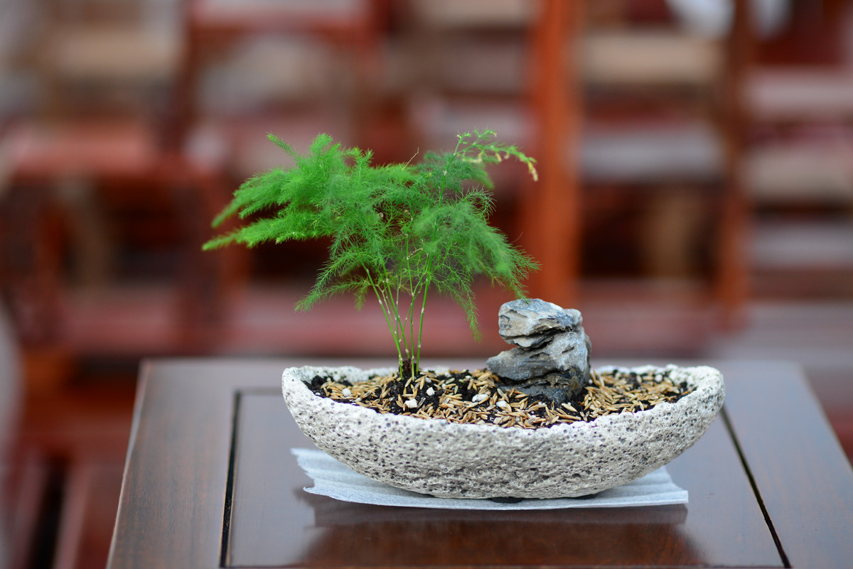 进入蔡百微试拍