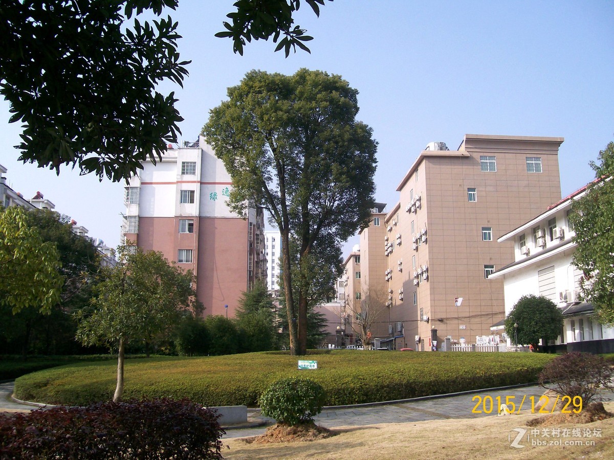 《很有地方特色的小区广场》              随意拍摄