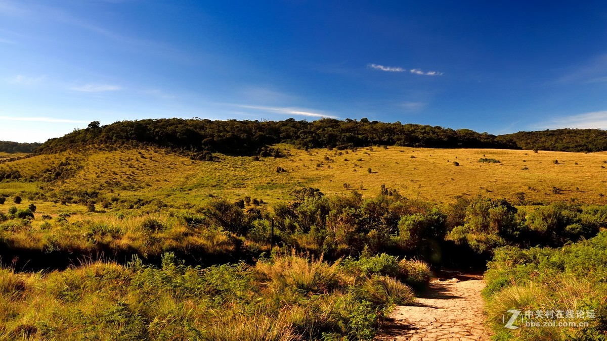 游走南亚30天之斯里兰卡霍尔顿平原