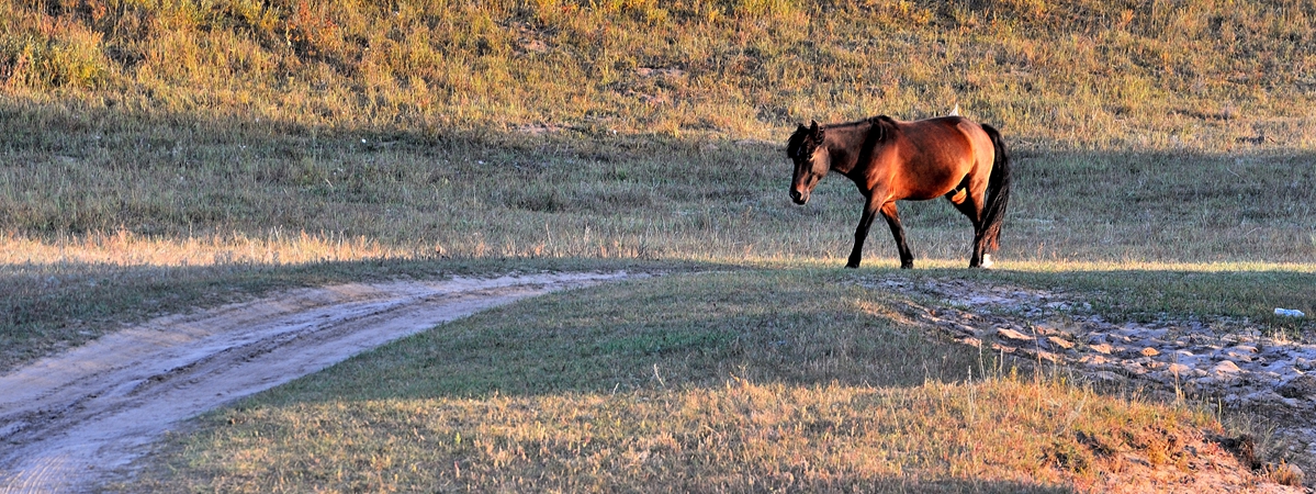 2015金秋乌兰布统------北沟［兼请假帖］