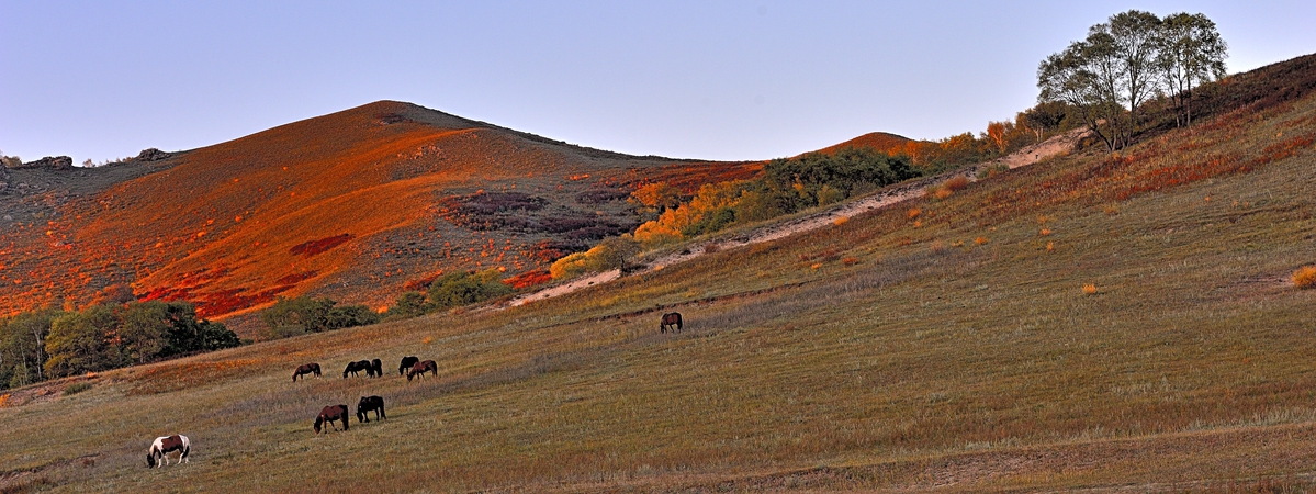 2015金秋乌兰布统------北沟［兼请假帖］