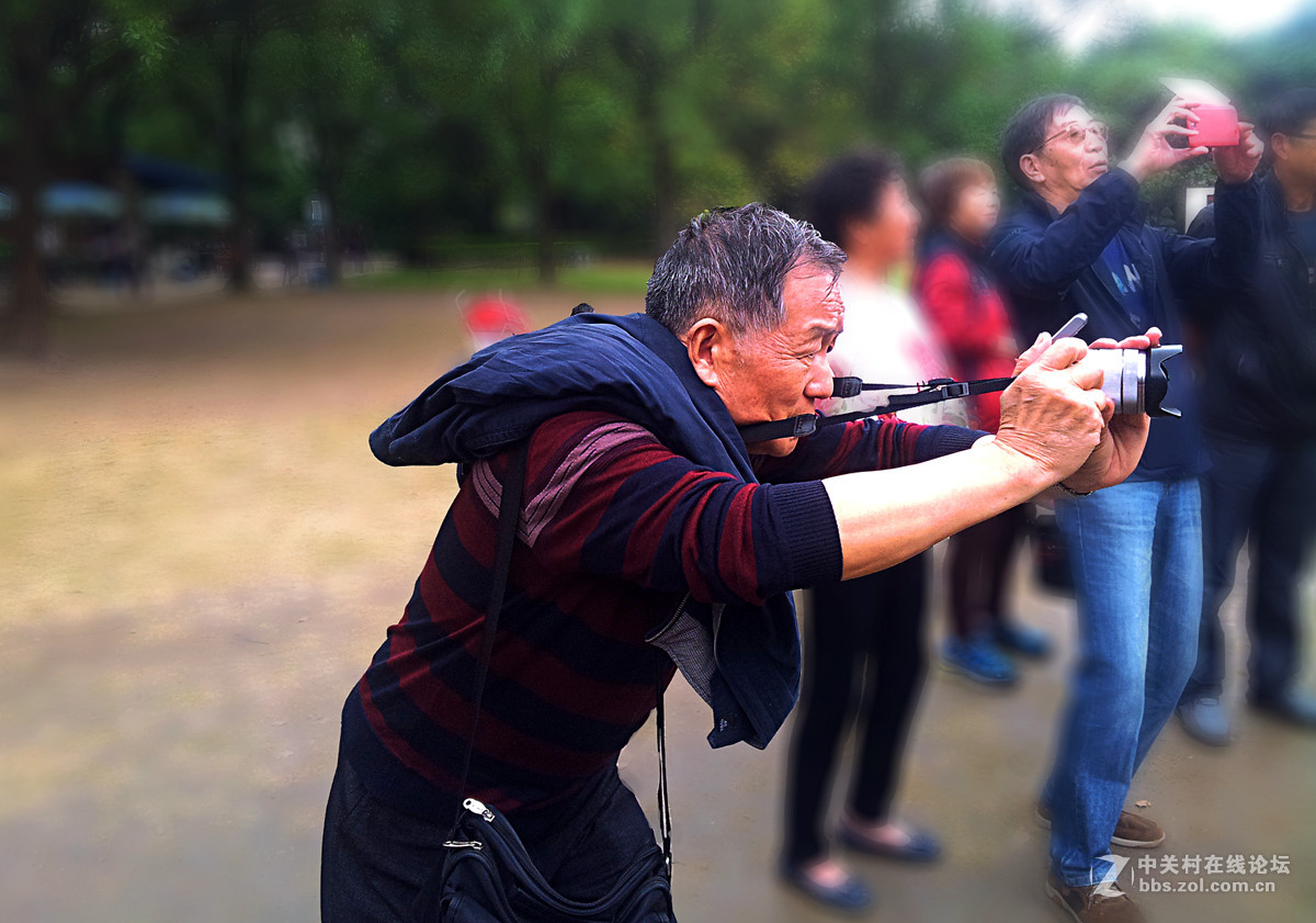 全民摄影 菊花展手机人物随拍