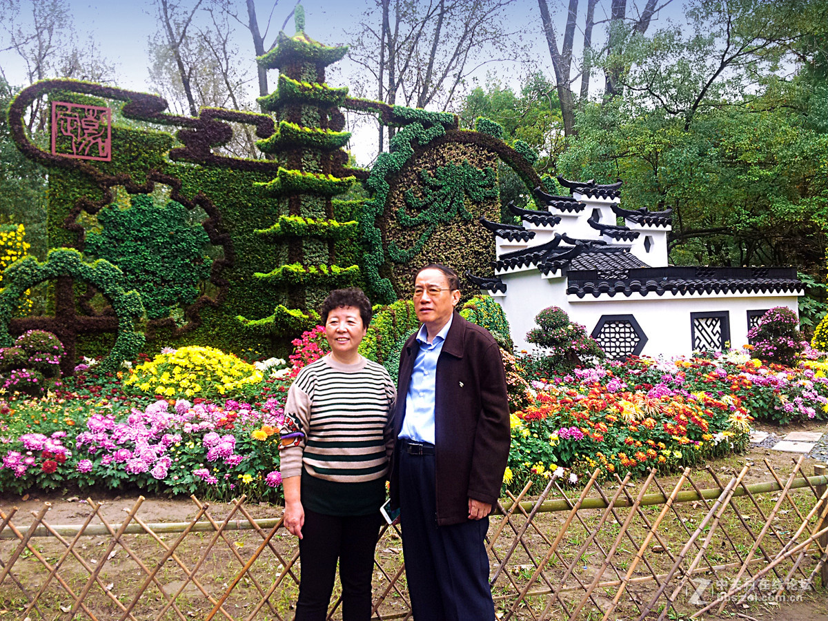 全民摄影 菊花展手机人物随拍