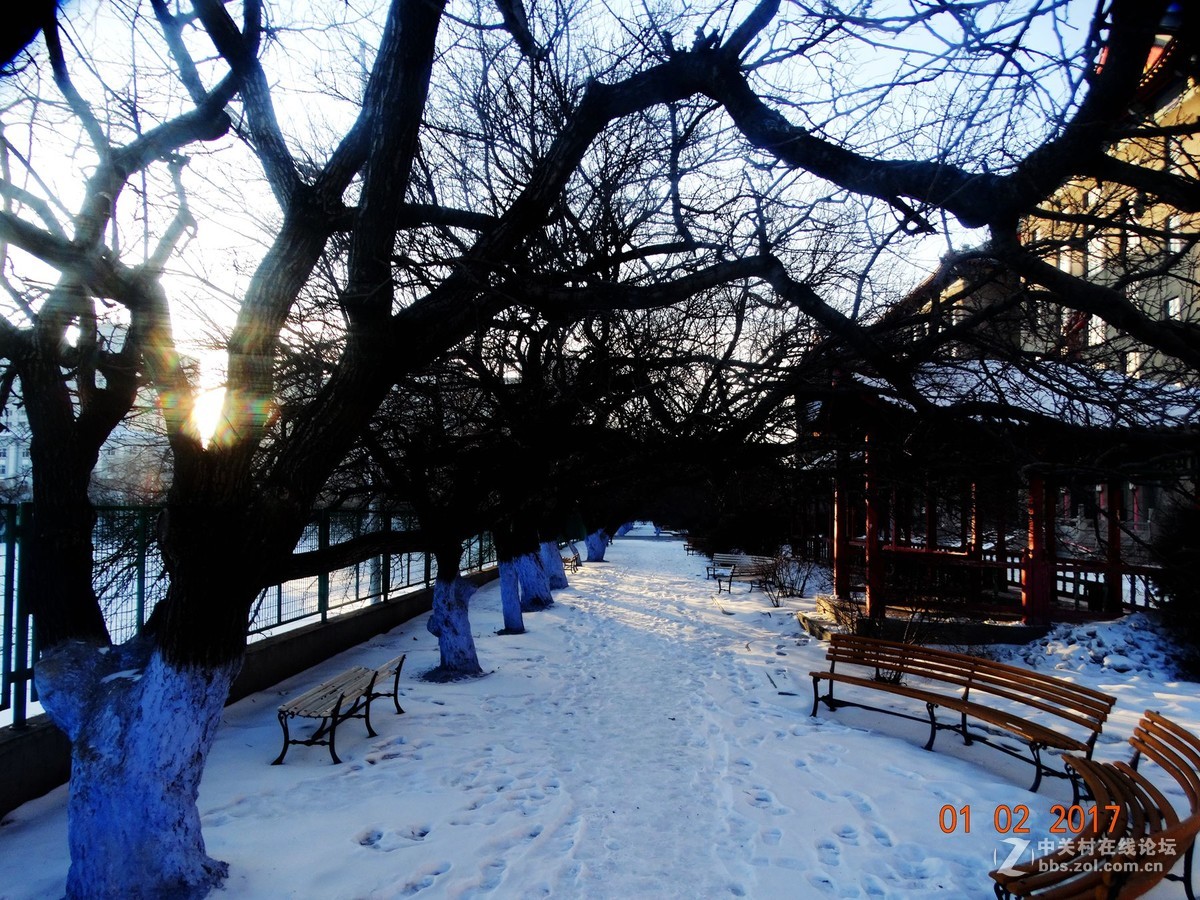 曾经辉煌的哈军工