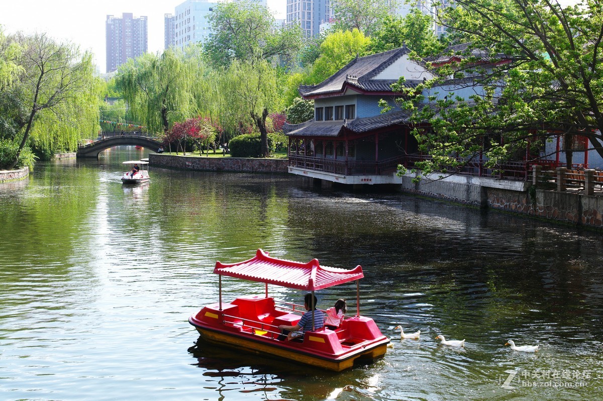 春日随拍（M50-1.4镜头）