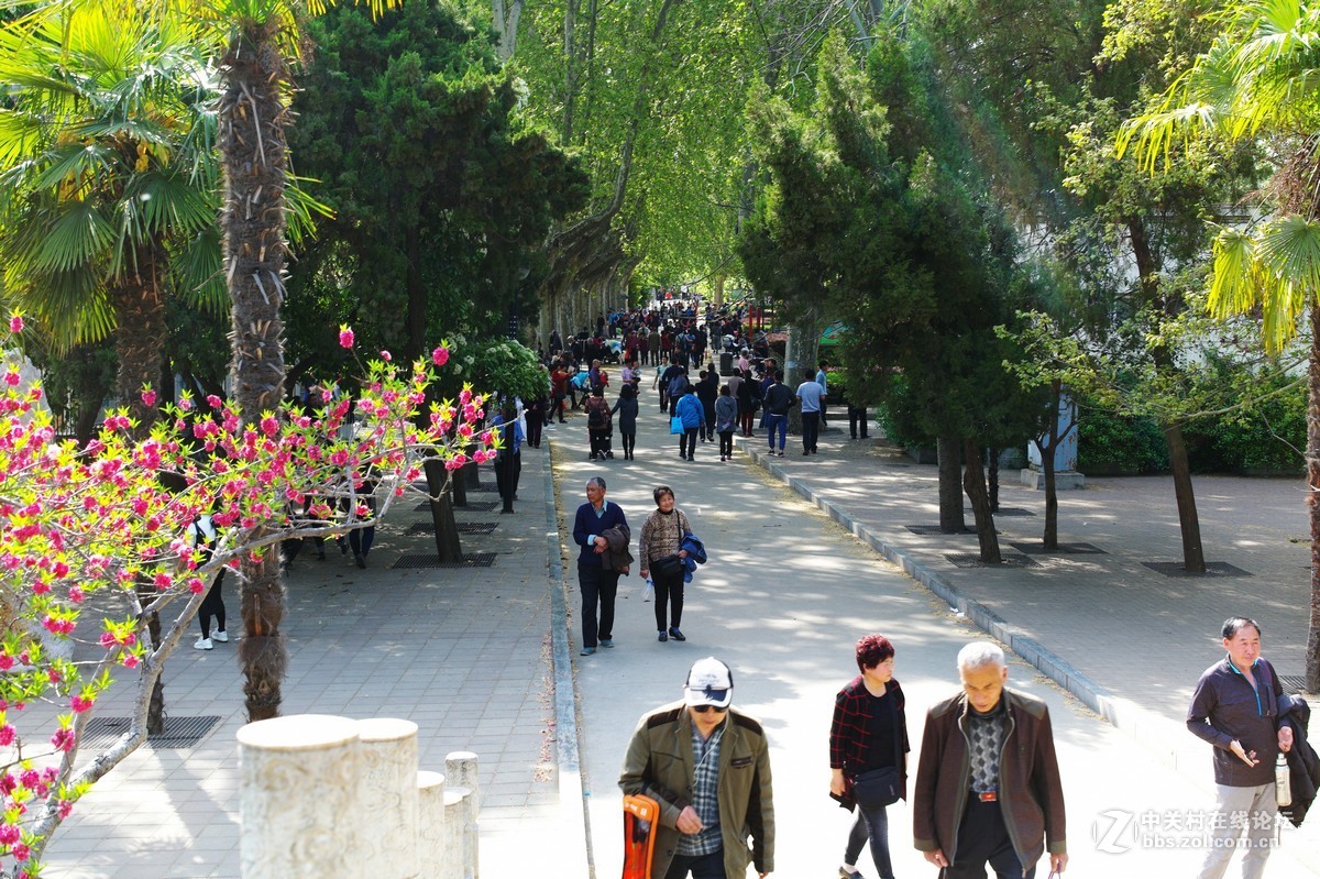 春日随拍（M50-1.4镜头）