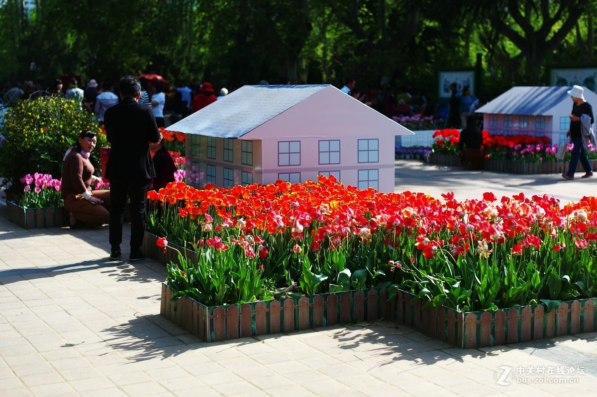 春日随拍（M50-1.4镜头）