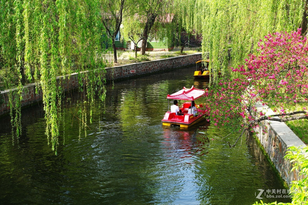 春日随拍（M50-1.4镜头）