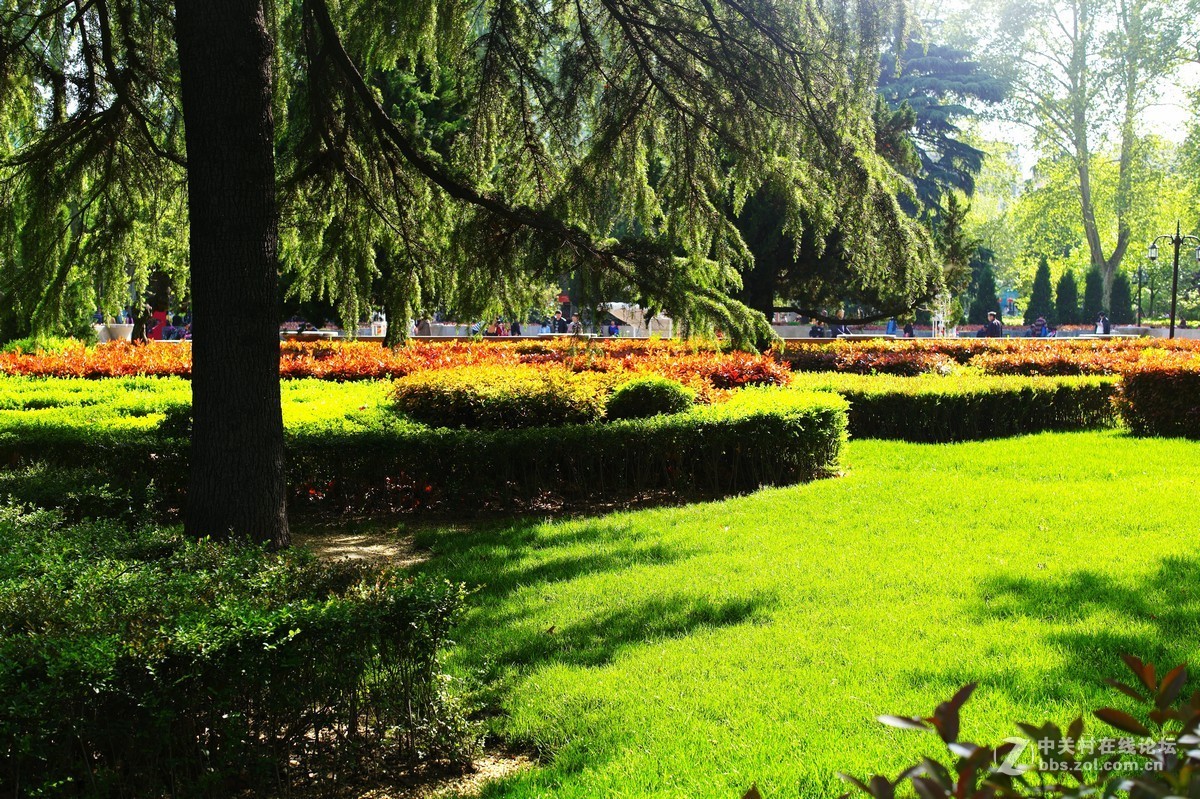 春日随拍（M50-1.4镜头）