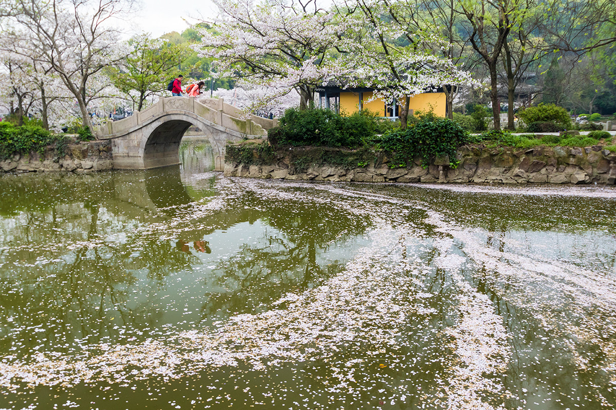 #佳能月赛-人间四月天# ---《落红》