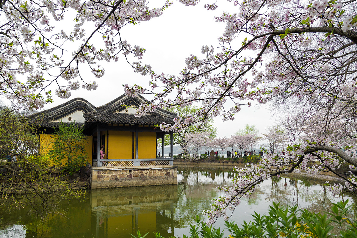 #佳能月赛-人间四月天# ---《落红》